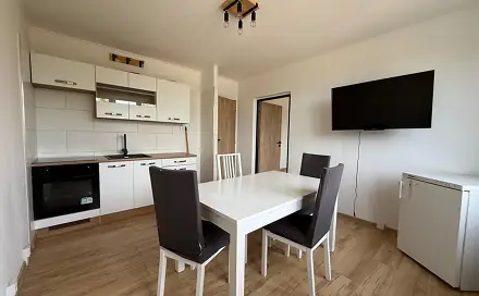 Pronájem bytu 1+1 35 m², Kamenná, Chomutov