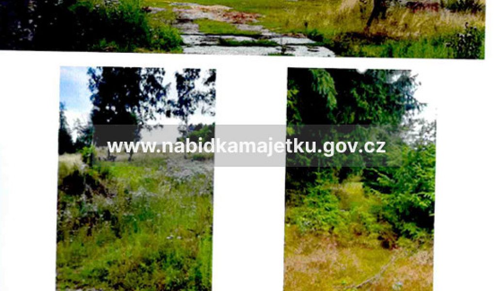 Prodej pozemku 2 564 m², Ostrov u Bezdružic – náhled fotky 3