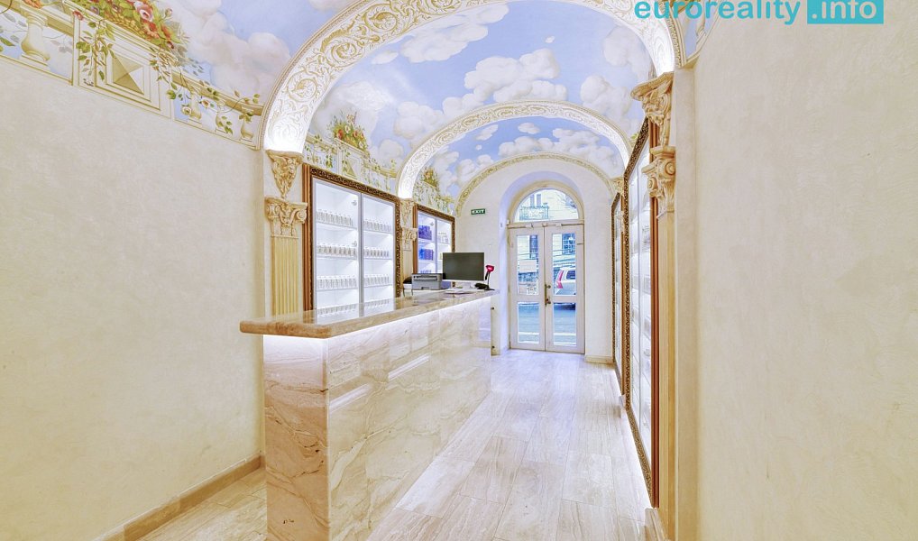 Pronájem obchodních prostor 20 m², Karlovy Vary – náhled fotky 3