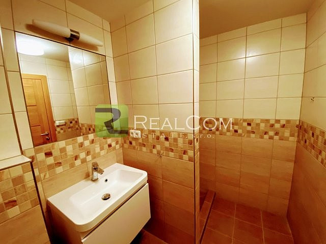 Pronájem bytu 1+kk 24 m² — photo 5