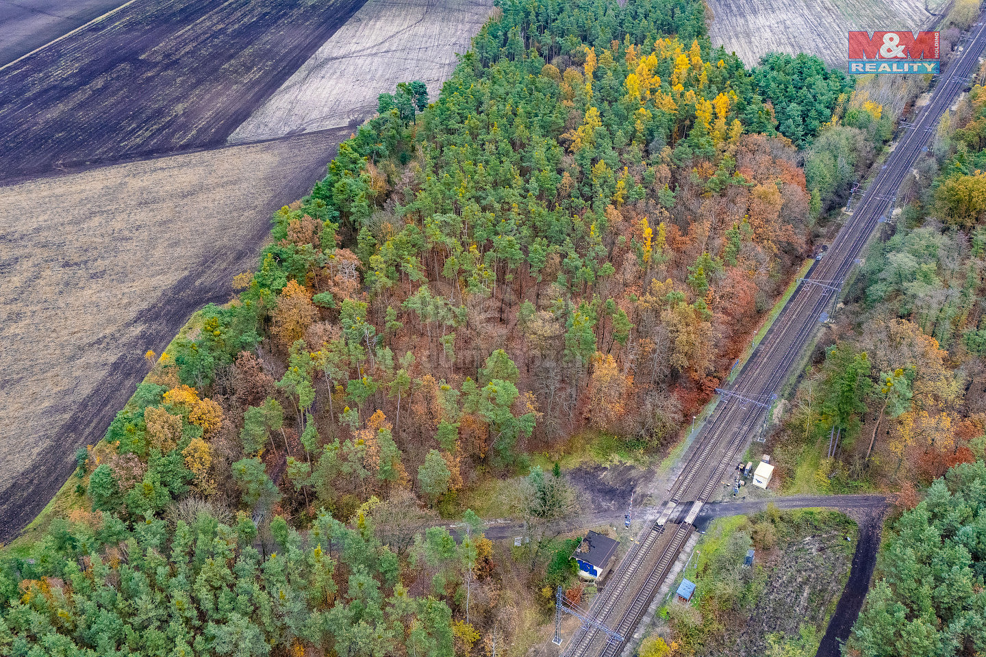 Prodej lesa 6 436 m²