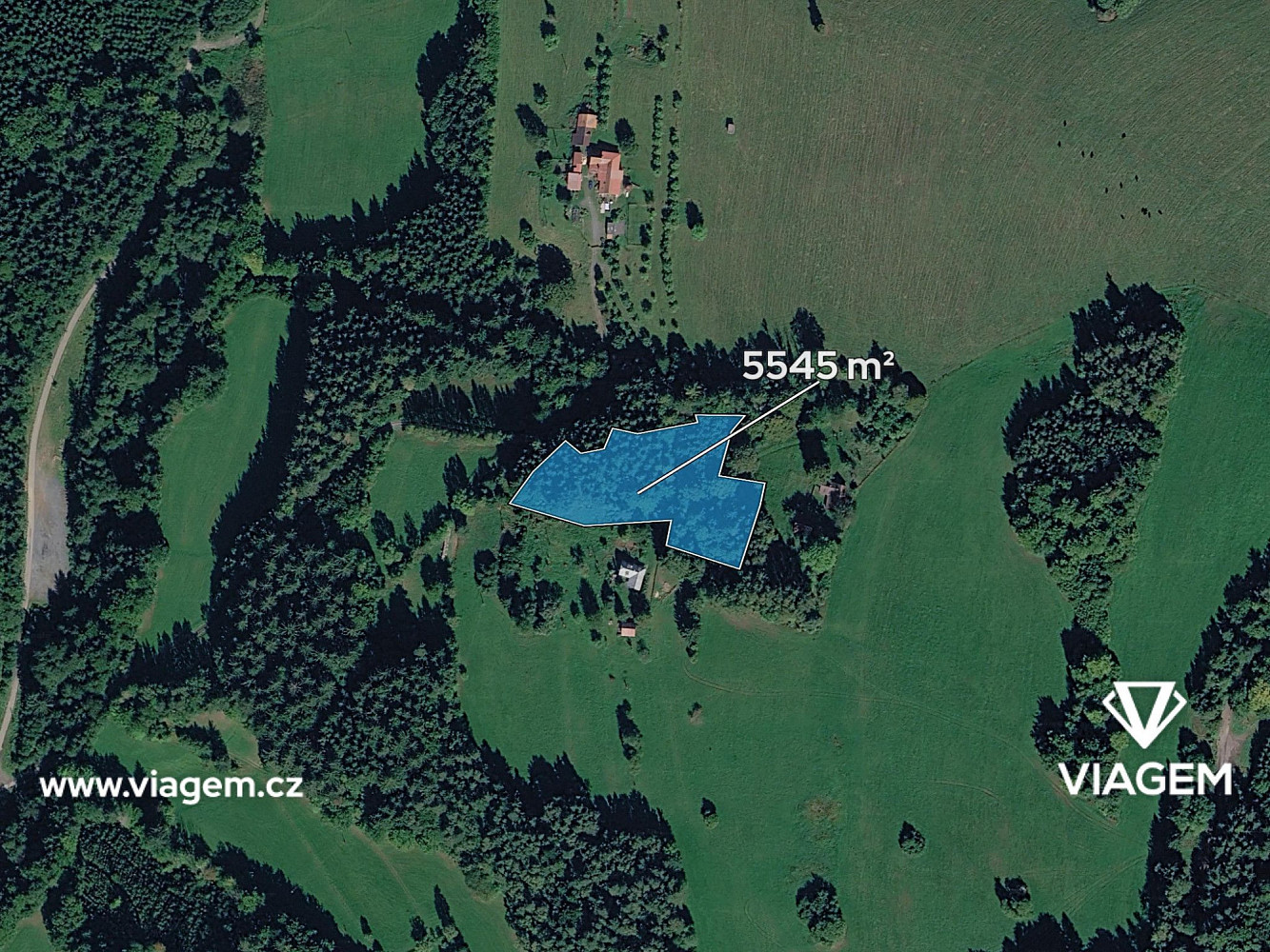 Prodej lesa 4 990 m² – fotografie 2