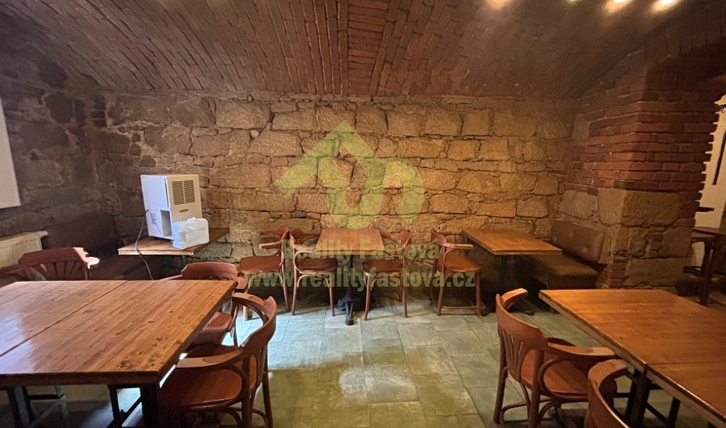 Prodej domu 776 m² s pozemkem 192 m², Plzeň – náhled fotky 29