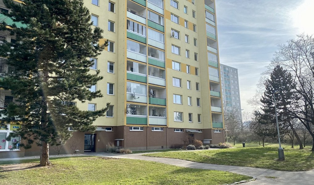 Pronájem bytu 1+1 30 m², Praha – náhled fotky 8