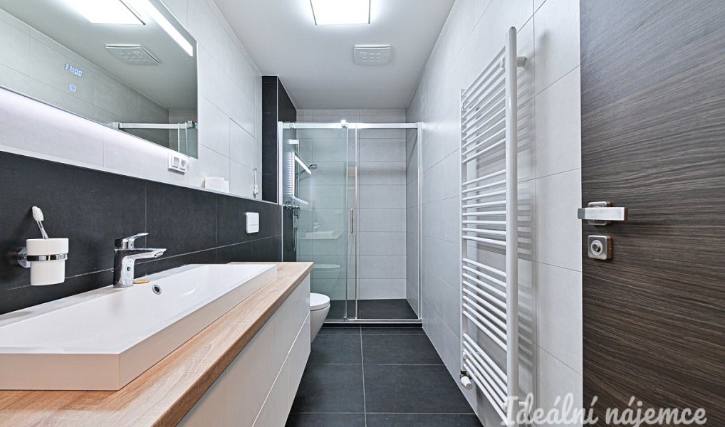Pronájem bytu 2+kk 60 m², Brno – náhled fotky 14