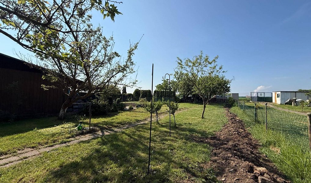 Prodej zahrady 428 m², Spořice – náhled fotky 9