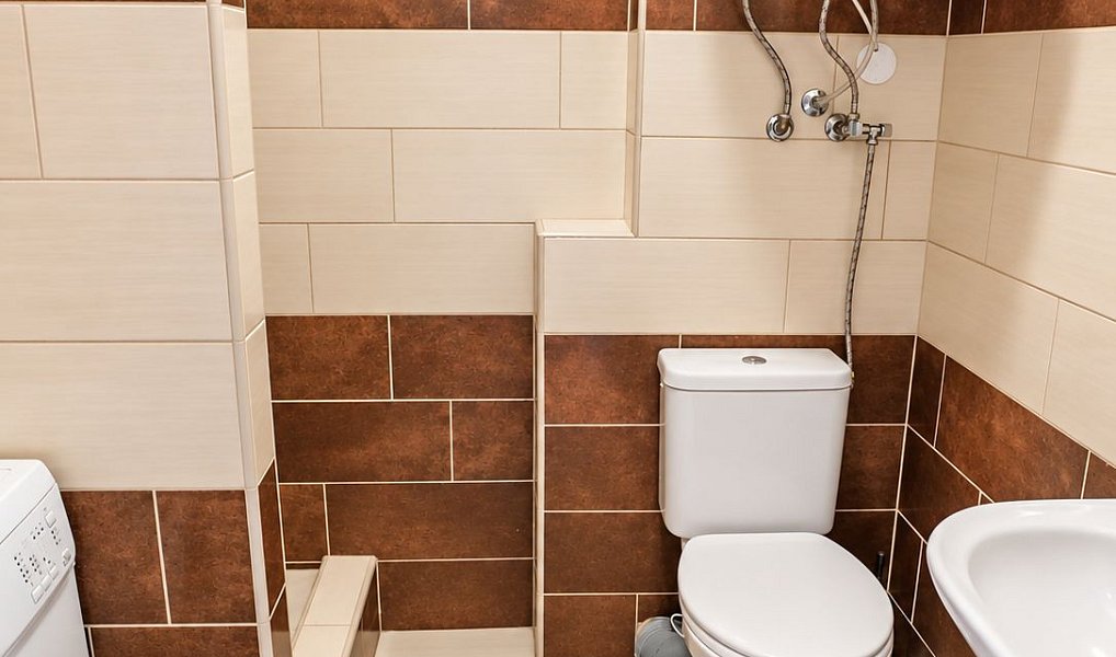 Pronájem bytu 1+kk 30 m², Spálené Poříčí – náhled fotky 5