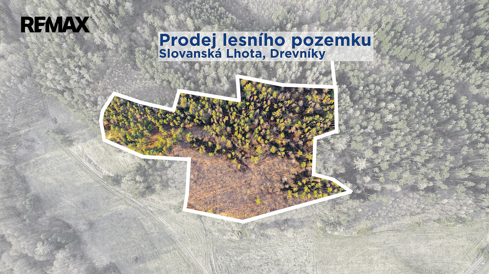 Prodej lesa 14 998 m² – pohled 2