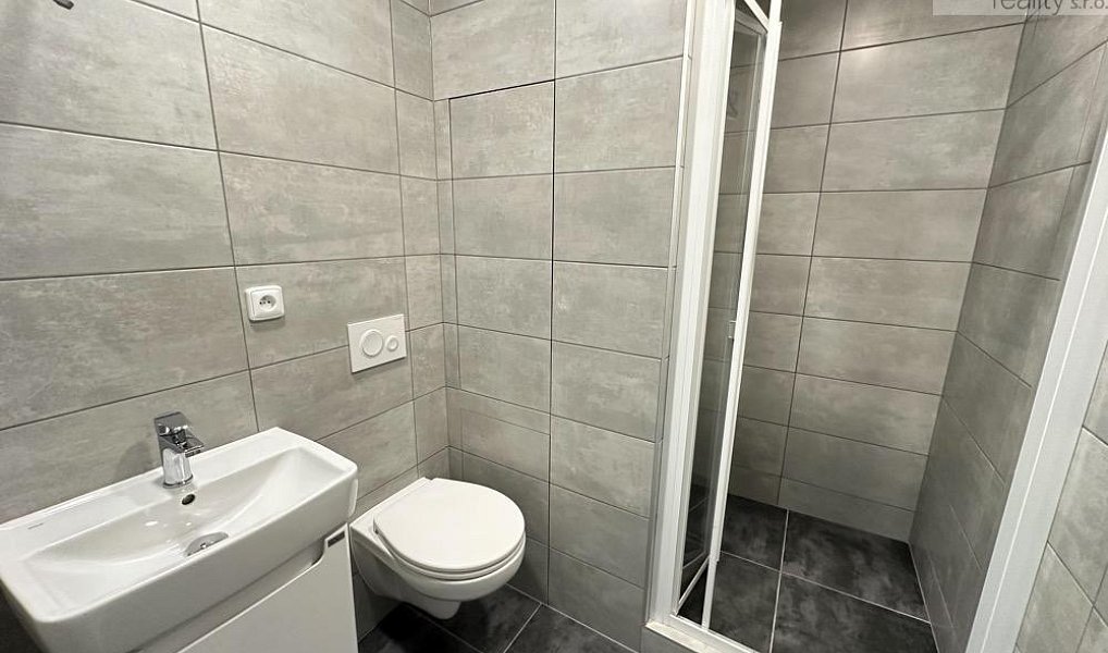 Pronájem bytu 1+1 36 m², Duchcov – náhled fotky 6
