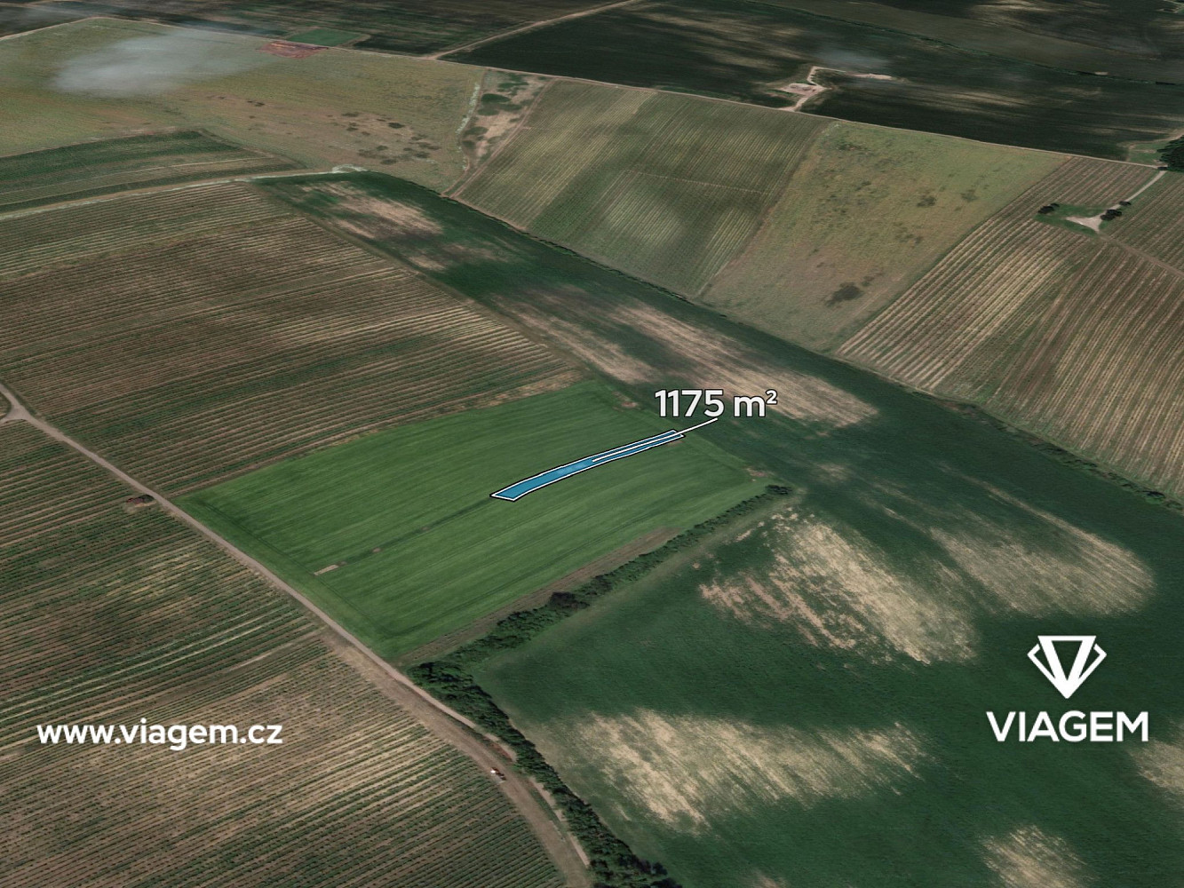 Prodej pole 1 175 m²