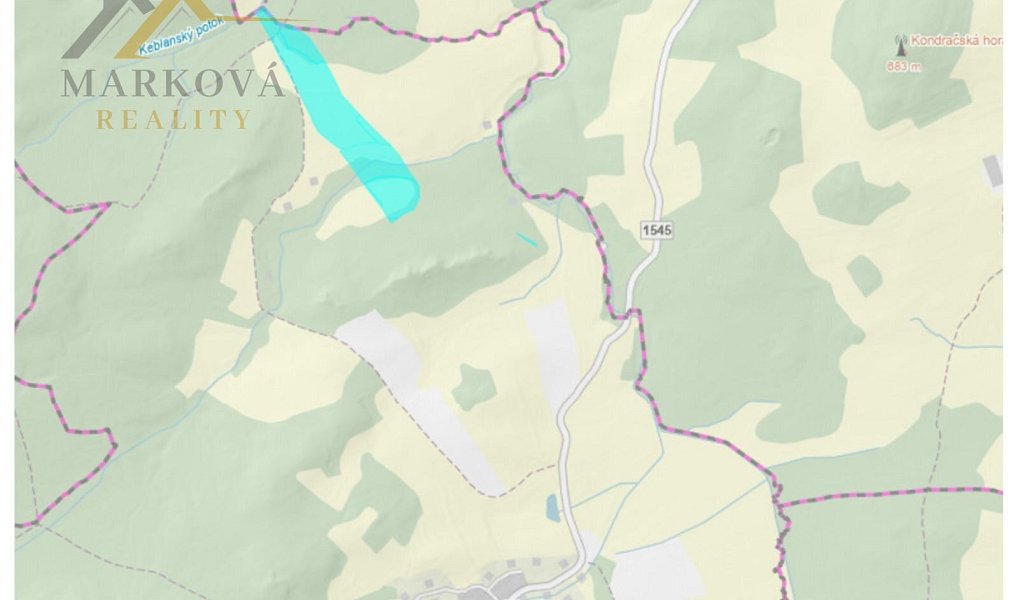Prodej louky 98 591 m², Benešov nad Černou – náhled fotky 7