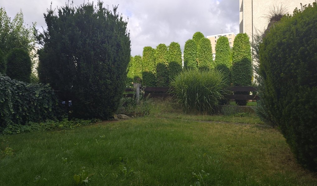 Pronájem domu 309 m² s pozemkem 152 m², Pardubice – náhled fotky 3