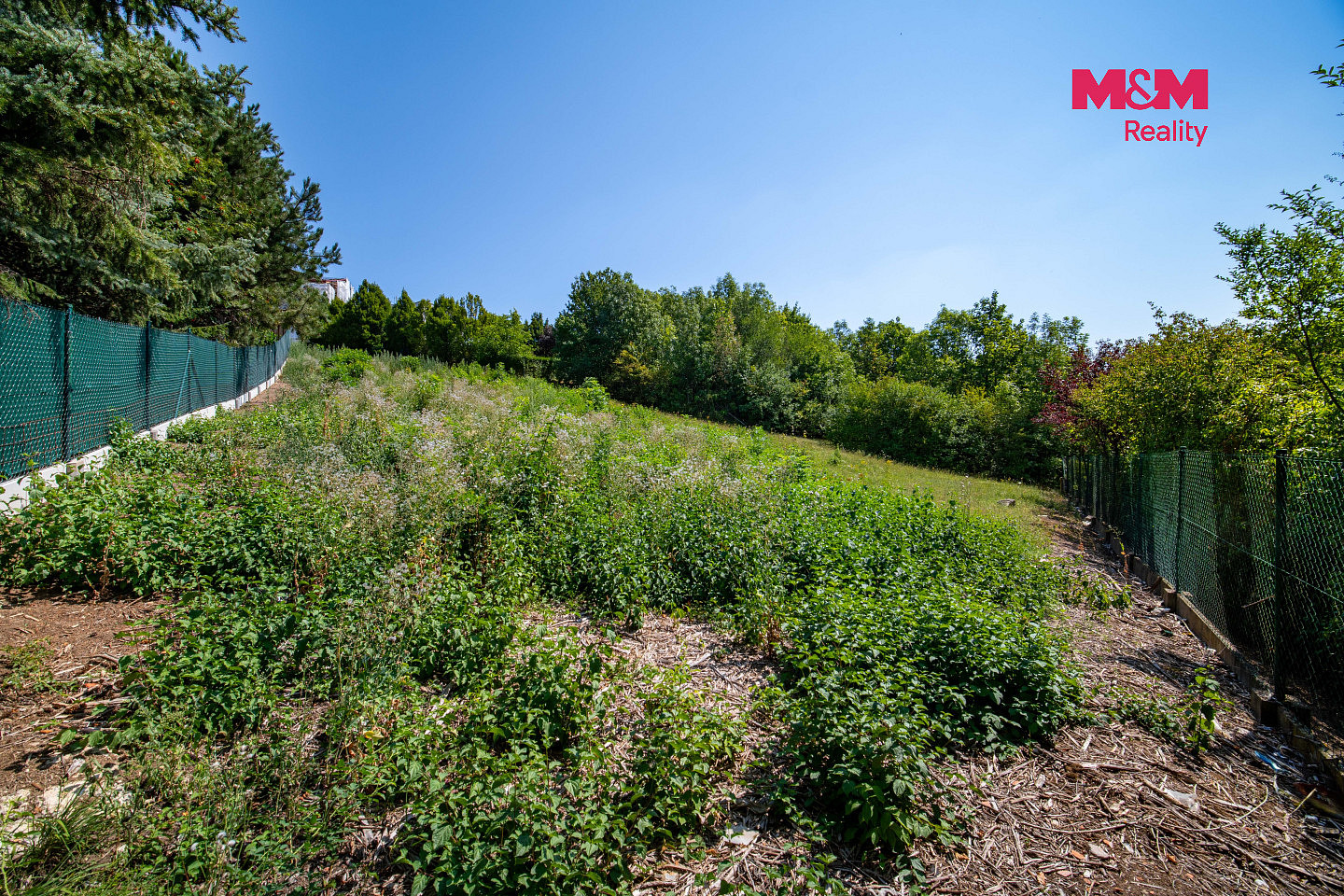 Prodej stavebního pozemku 1 307 m² – fotografie 3