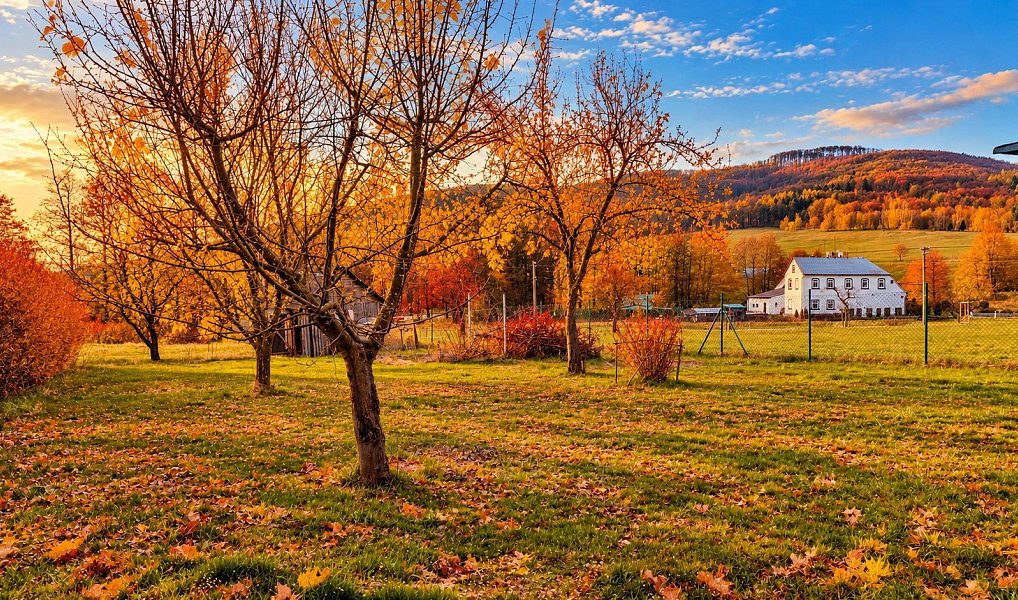 Prodej stavebního pozemku 1 607 m², Dolní Podluží – náhled fotky 6