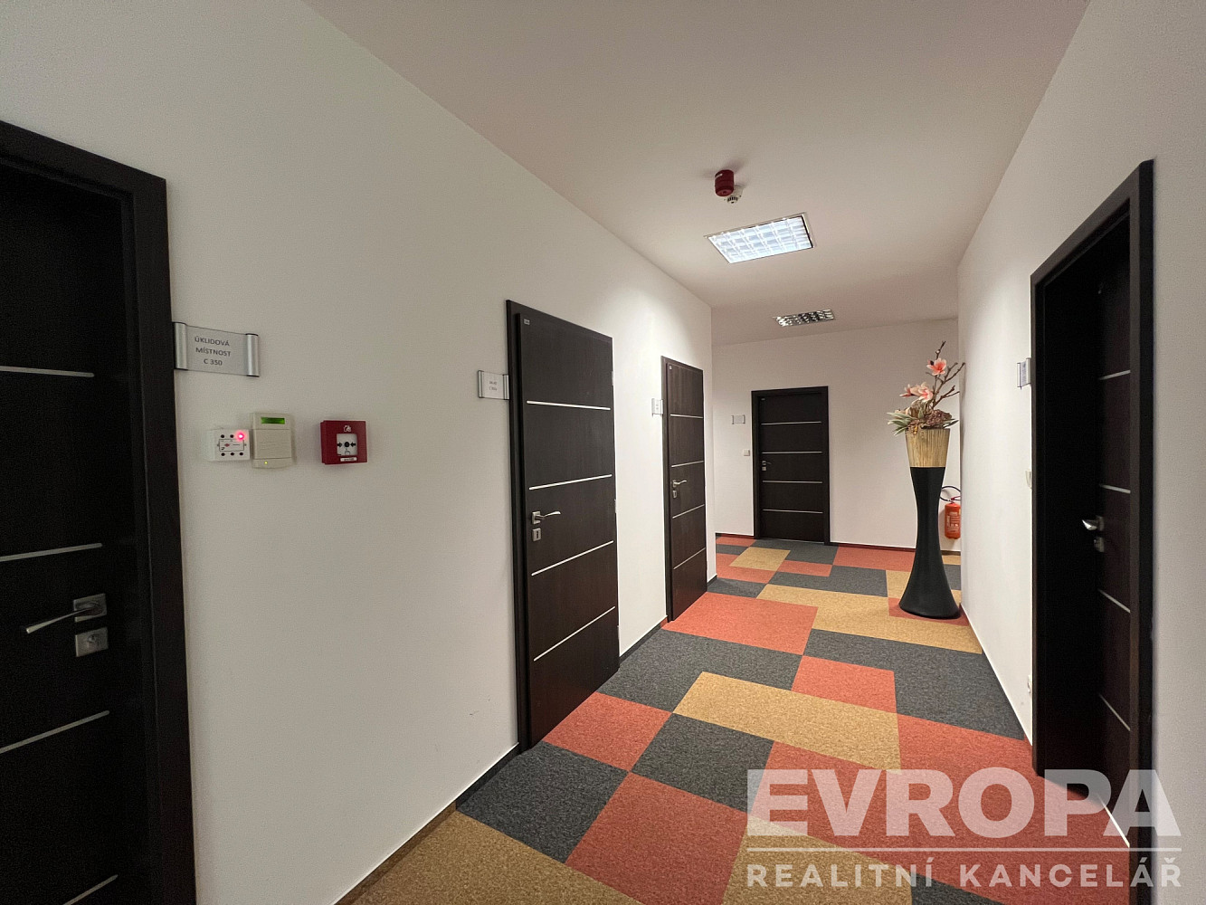 Pronájem kanceláře 31 m² – fotografie 5