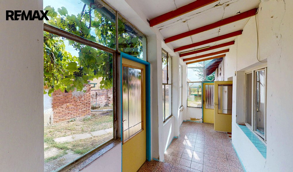 Prodej domu 200 m² s pozemkem 1 812 m², Šakvice – náhled fotky 4