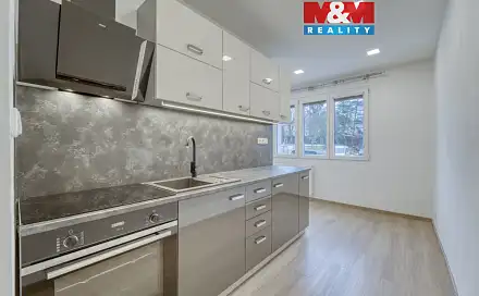 Pronájem bytu 2+1 57 m², Revoluční, Plzeň - Lobzy