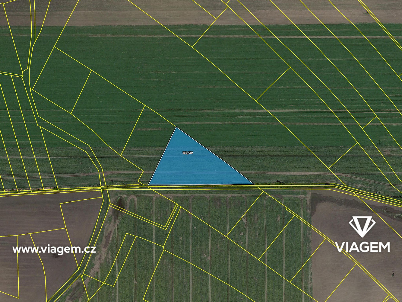 Prodej pole 1 606 m² – fotografie 4
