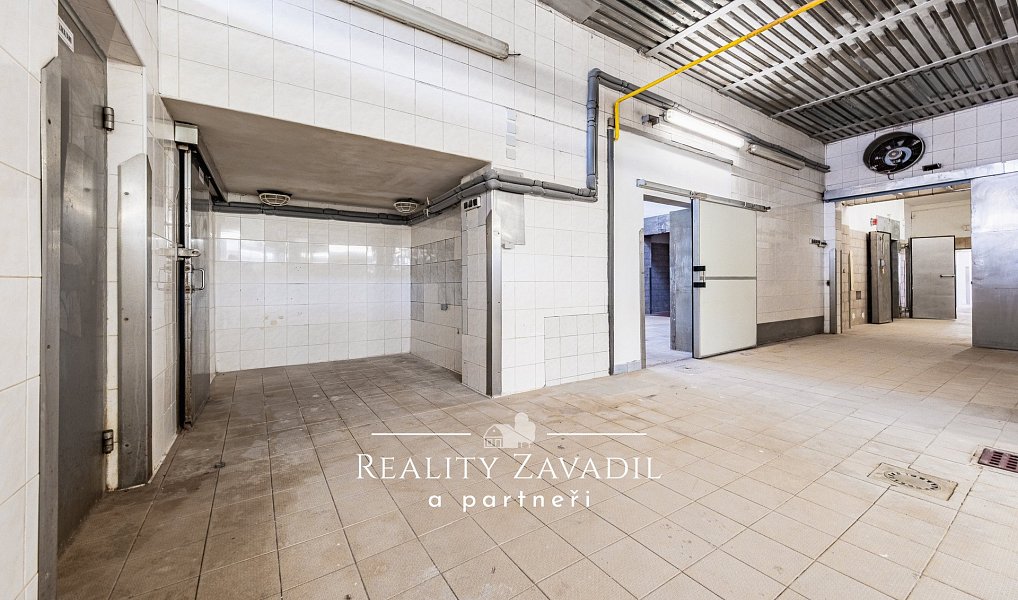 Prodej domu 940 m² s pozemkem 5 787 m², Koleč – náhled fotky 16