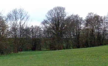 Dražba louky 2 075 m², Melč