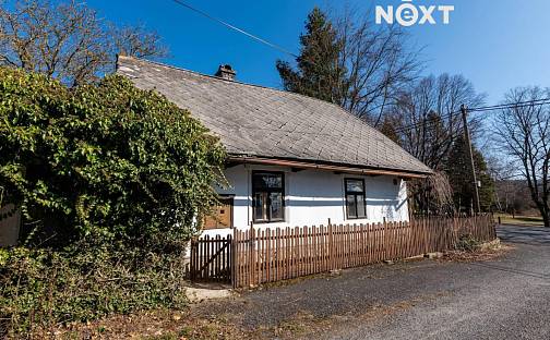Prodej domu 100 m² s pozemkem 202 m², Nepomuk, okres Příbram