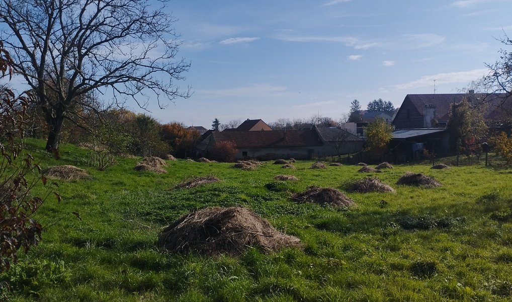 Prodej stavebního pozemku 4 411 m², Holubice – náhled fotky 6