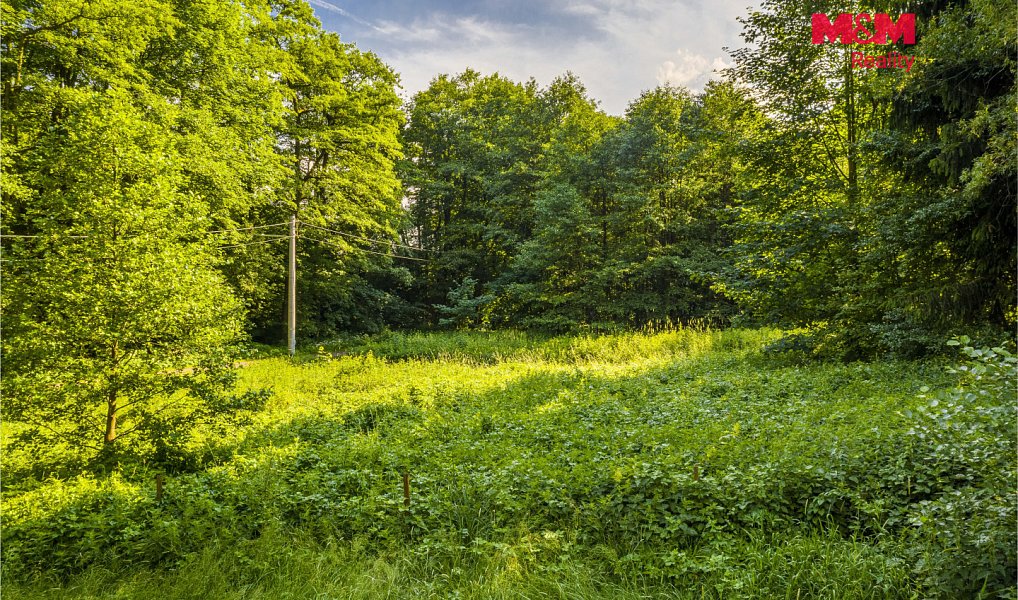 Prodej louky 646 m², Hodkovice nad Mohelkou – náhled fotky 8
