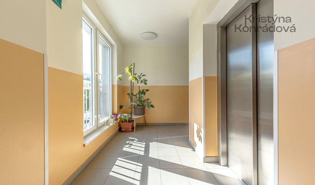 Prodej bytu 2+kk 45 m², Praha – náhled fotky 12