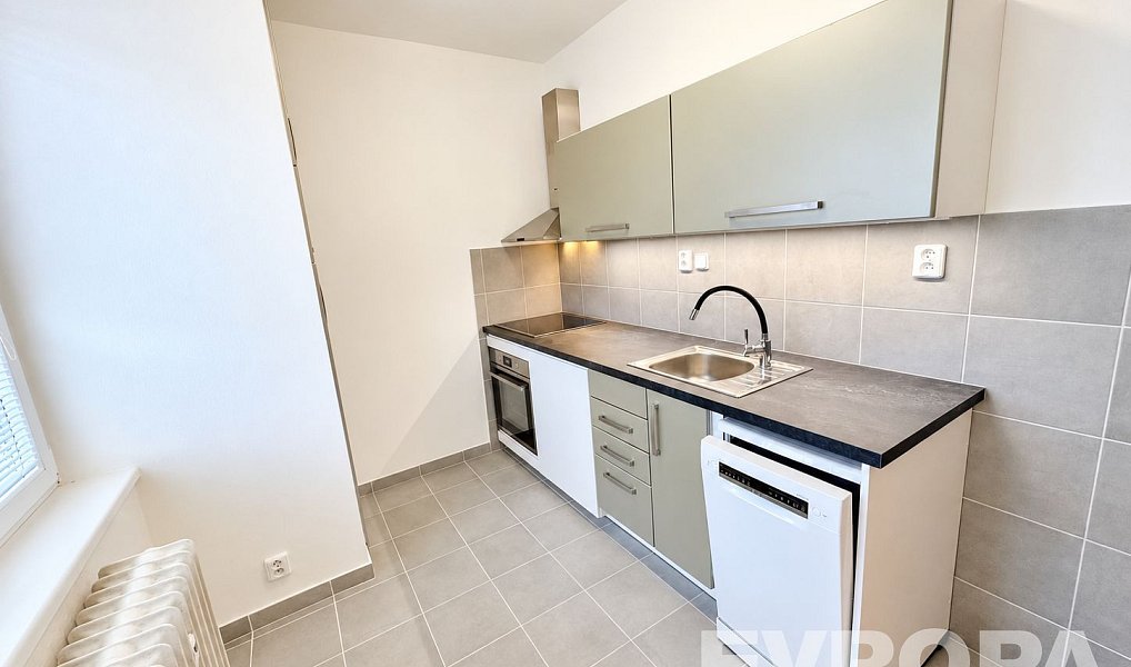 Pronájem bytu 2+1 56 m², Plzeň – náhled fotky 2