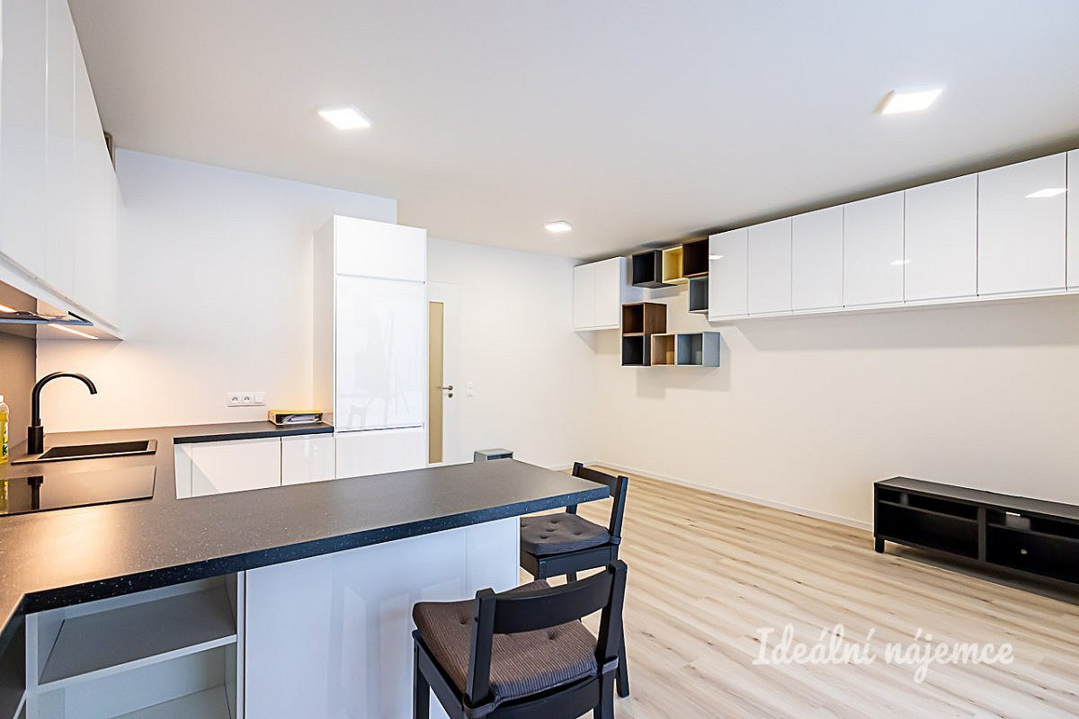 Pronájem bytu 1+kk 40 m² – fotografie 3