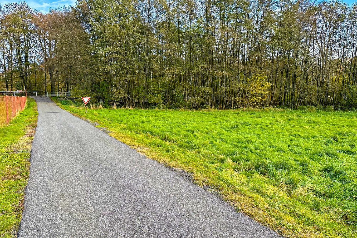 Prodej louky 3 903 m² – fotografie 5