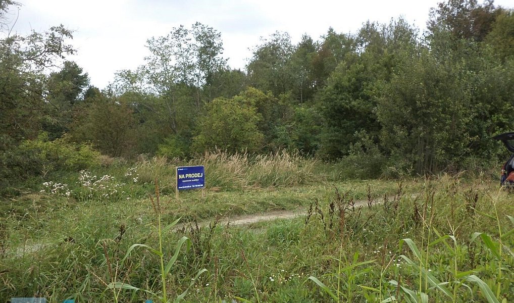 Prodej pozemku 1 919 m², Slavonice – náhled fotky 2