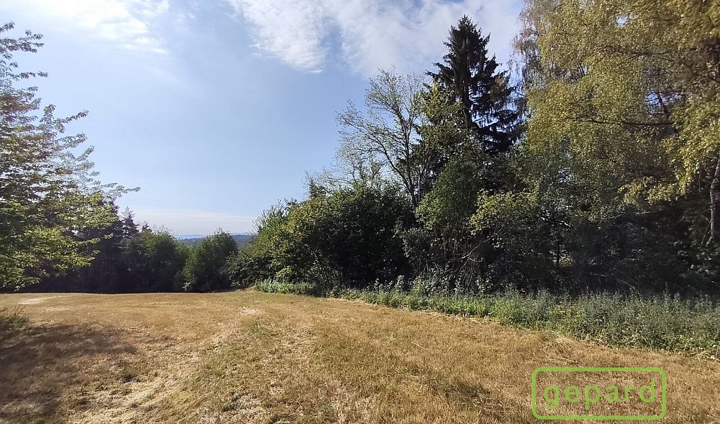 Prodej stavebního pozemku 14 307 m², Světlík – náhled fotky 12