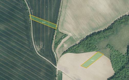 Prodej pole 17 754 m², Hoštice, okres Kroměříž