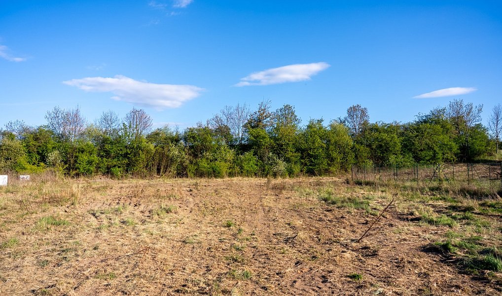 Prodej stavebního pozemku 1 605 m², Vrbčany – náhled fotky 4