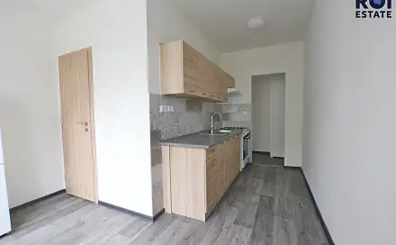 Pronájem bytu 1+1 38 m², Vondrákova, Brno - Bystrc