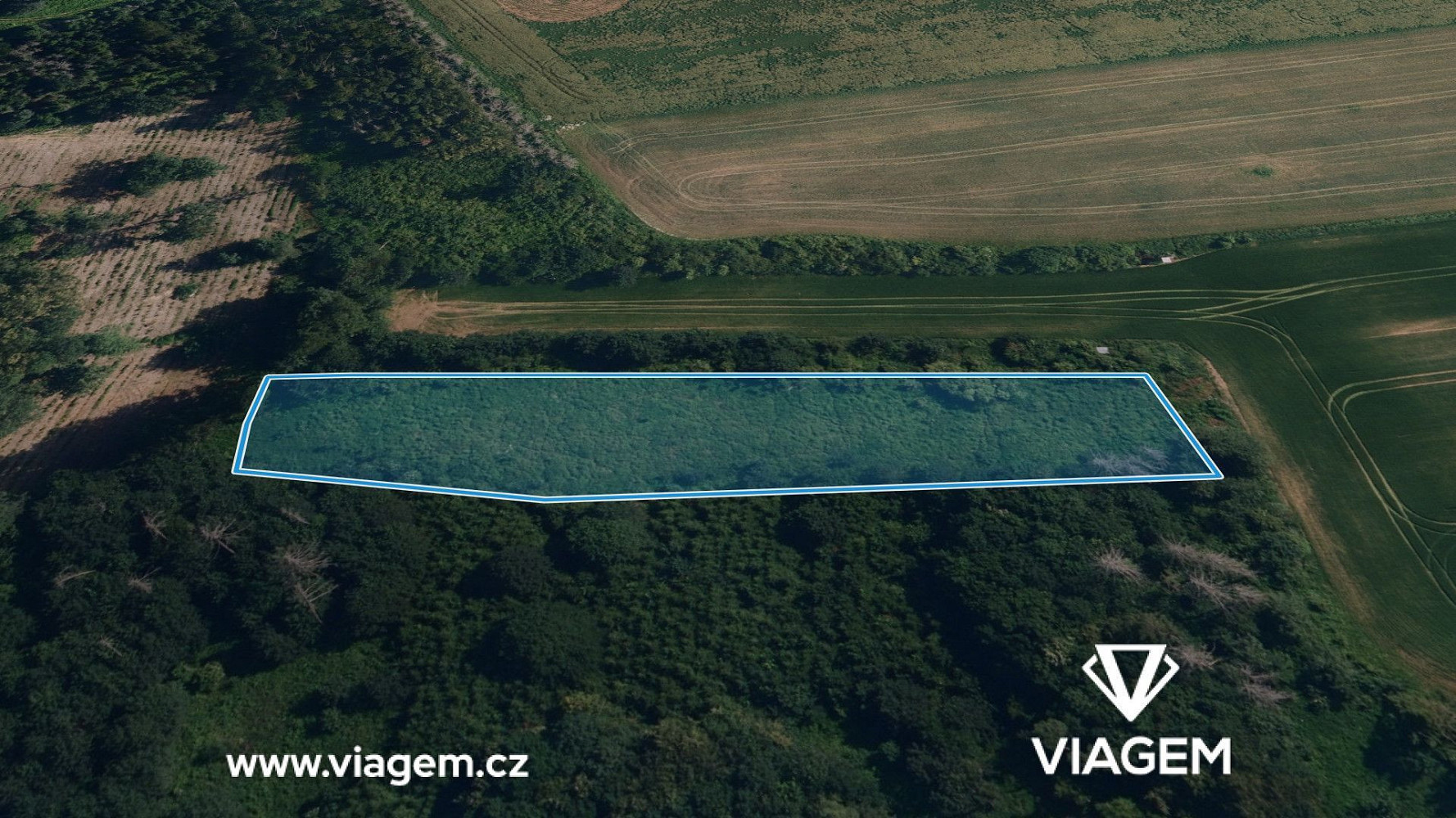 Fotka 2 z 5