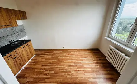 Pronájem bytu 3+1 63 m², Přátelství, Litvínov - Hamr, okres Most