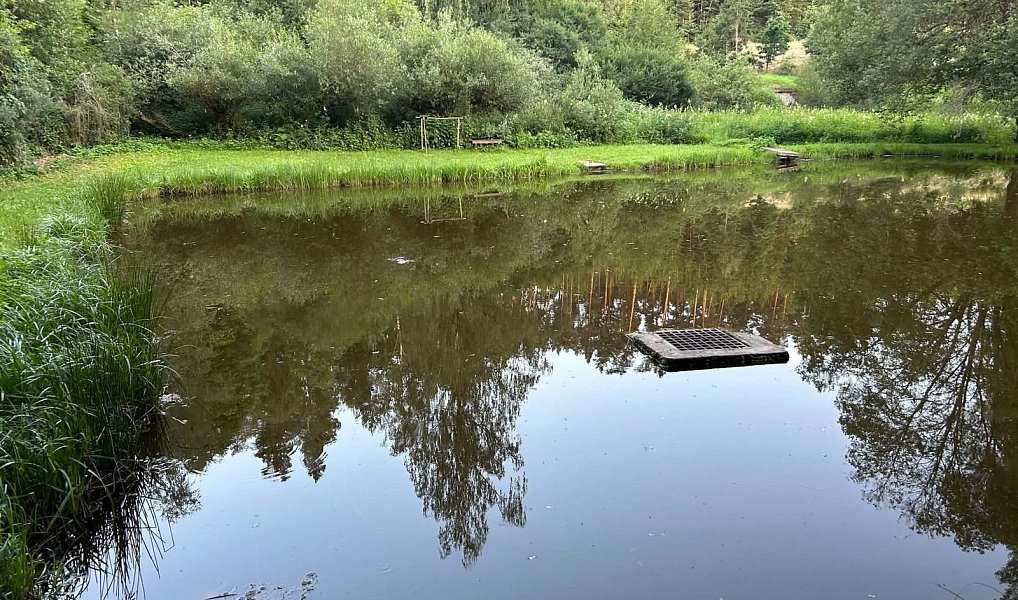 Prodej chaty/chalupy 42 m² s pozemkem 46 m², Česká Bříza – náhled fotky 16