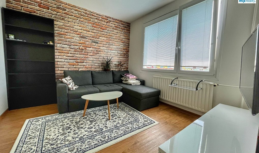 Pronájem bytu 1+1 39 m², Plzeň – náhled fotky 3