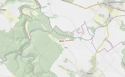 Dražba lesa 234 m², Březník