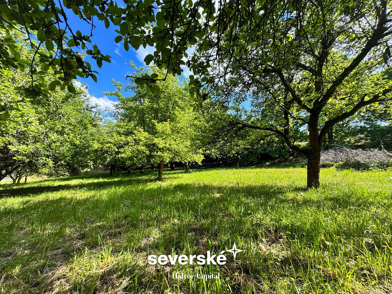Prodej stavebního pozemku 3 378 m² - Widok 6