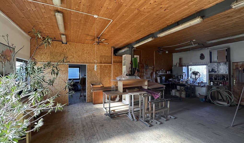 Pronájem výrobních prostor 222 m², Přerov – náhled fotky 9