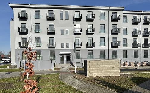 Pronájem bytu 1+kk 25 m², Slepá, Milovice - Mladá, okres Nymburk