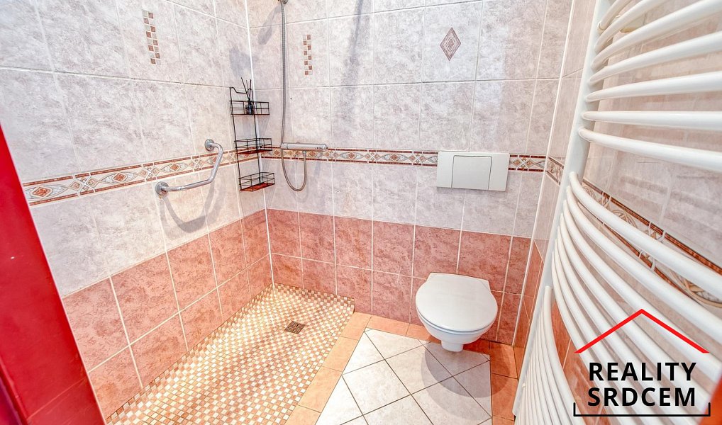 Prodej komerčního objektu (jiného typu) 600 m², Dětmarovice – náhled fotky 36