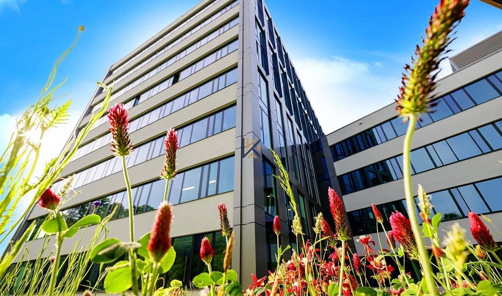 Pronájem komerčního prostoru, 800 m², Smíchov - Praha 5, Praha