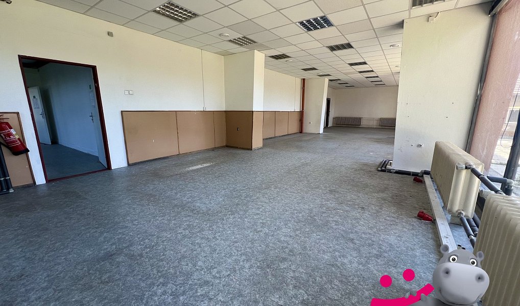 Prodej obchodních prostor 218 m², Kralupy nad Vltavou – náhled fotky 18