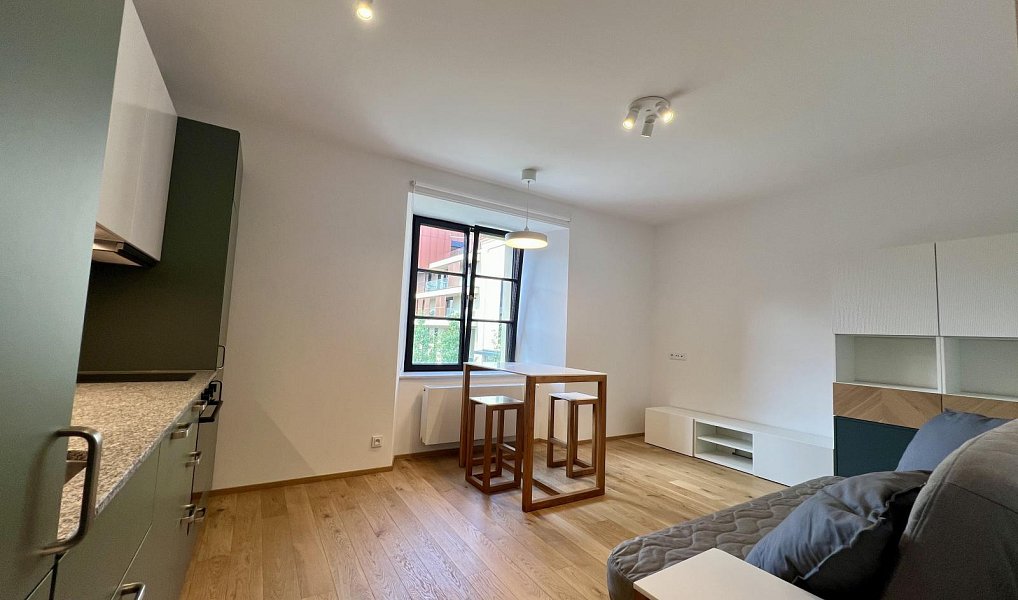 Pronájem bytu 1+kk 27 m², Praha – náhled fotky 2