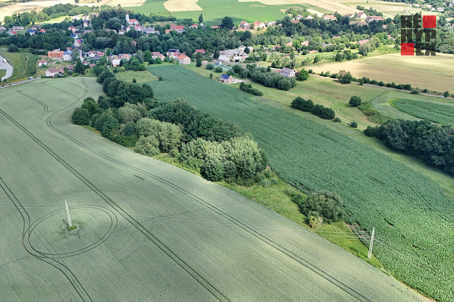 Prodej lesa 15 525 m² – fotografie 5