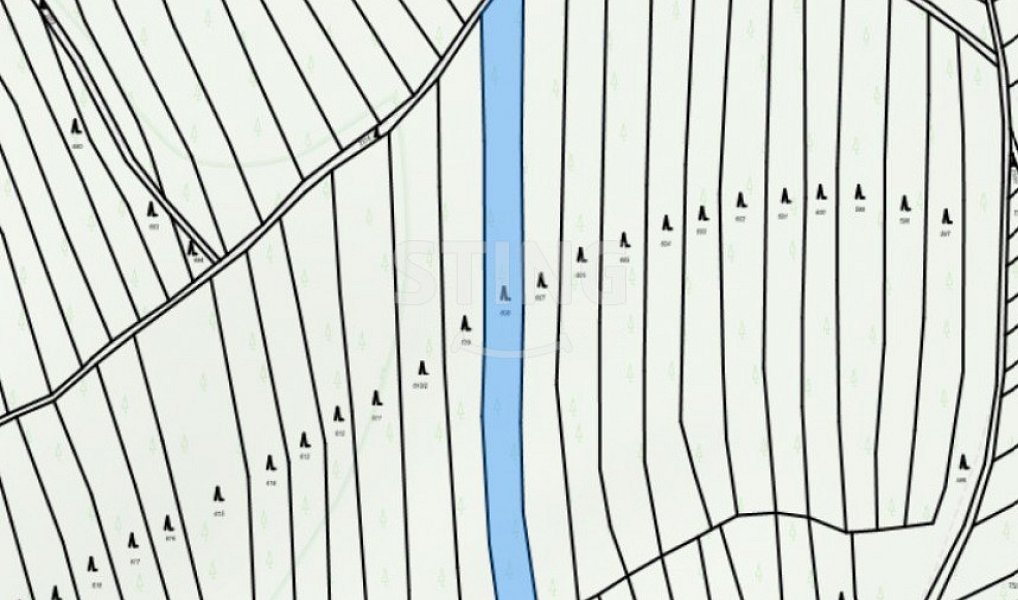 Prodej lesa 2 723 m², Morkůvky – náhled fotky 6